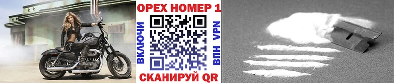 где продают наркотики  Курган  Кокаин Fish Scale 