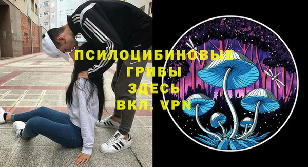 тгк Армянск