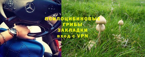 тгк Армянск