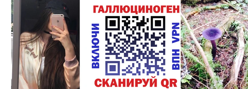 Псилоцибиновые грибы Psilocybe  Курган 