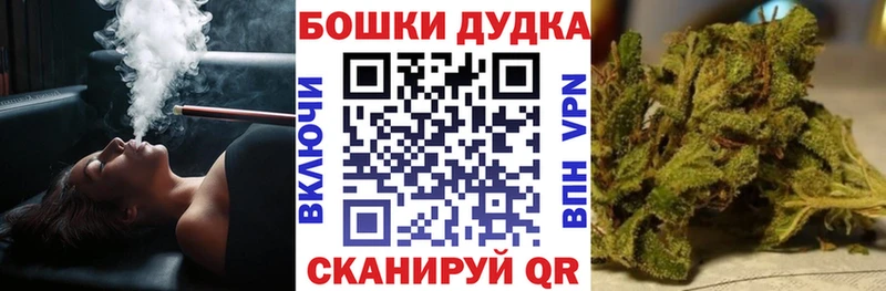 Марихуана сатива Курган